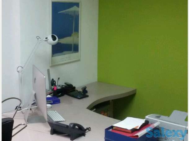 Покраска стен в Алматы, фотография 2