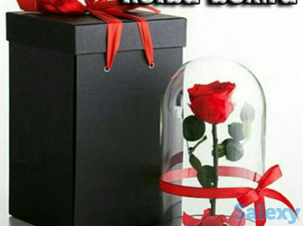 Роза в колбе, фотография 1