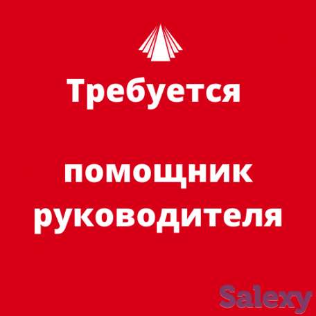 Помощник руководителя, фотография 1