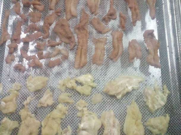 Сушильный шкаф камера С-3Км (на 220в) для мяса, овощей и пр., фотография 10