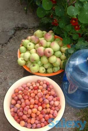 Срочно продам уютный дом, фотография 10