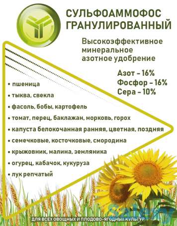 Сульфоаммофос гранулированный - высокоэффективное минеральное азотное удобрение, фотография 4