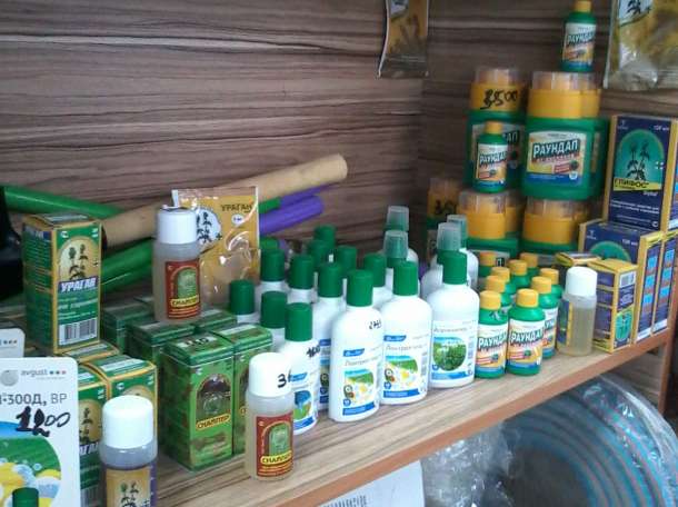 Семена цветов овощей зелени, фотография 11