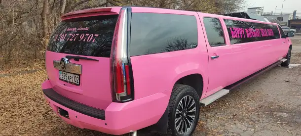 Аренда лимузинов, фотография 1