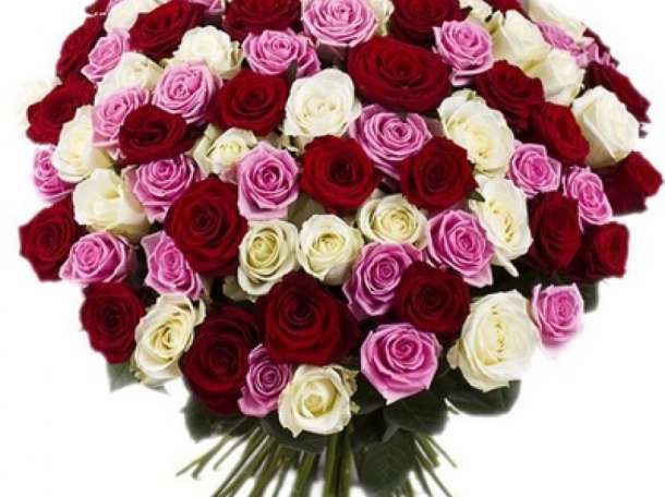 Цветочный мир 