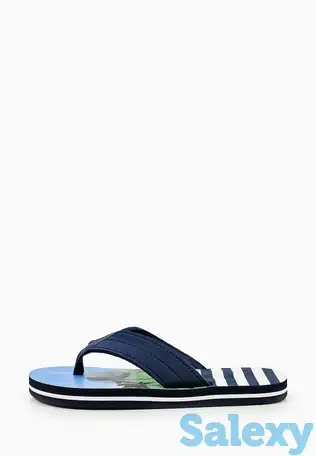 Сланцы t.taccardi, фотография 1