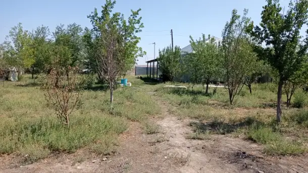 Продам участок 50 соток ЛПХ, Казахстан, Алматинская область, Жабылский район, село Улгили, фотография 8