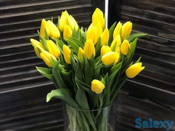 Тюльпаны оптом, фотография 3
