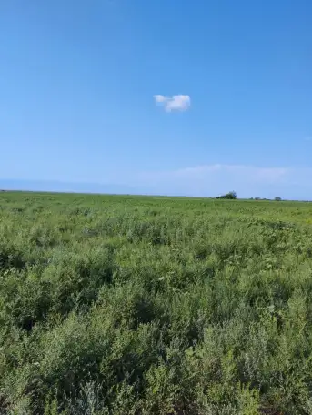 Участок 136 гектара продаи, Каратурык, фотография 1