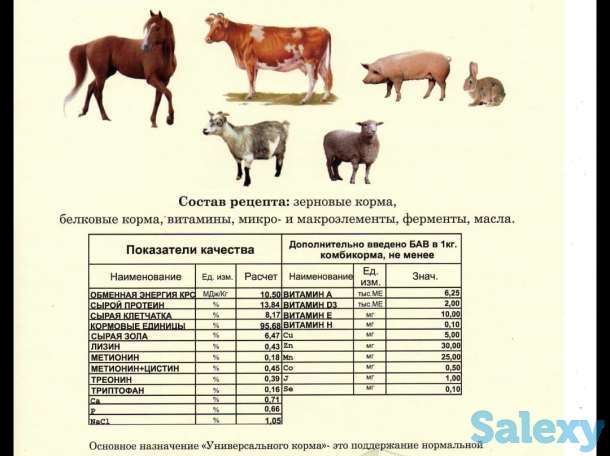 Продам комбикорма для животных, птицы, рыб, фотография 2