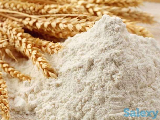 Продам муку, фотография 1