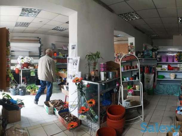 Магазин площадью 55 м², Кирова ( Чехова), фотография 2