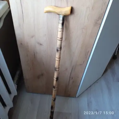 Трость, фотография 3