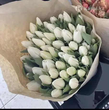 Тюльпаны премиум класса оптом к 8 марта, фотография 9