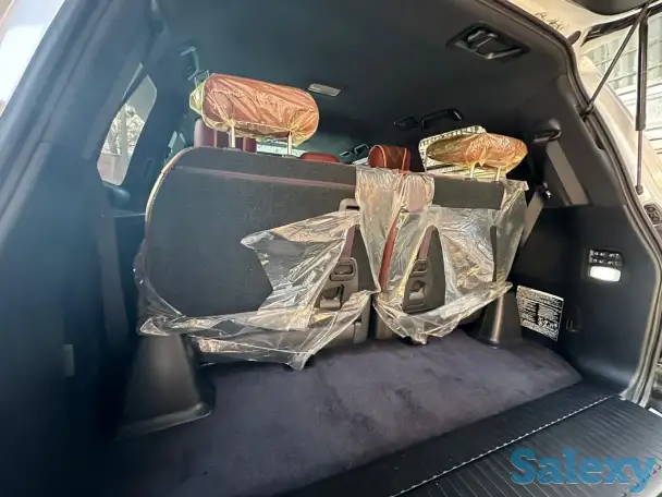 LEXUS 570.  2018 год, фотография 6