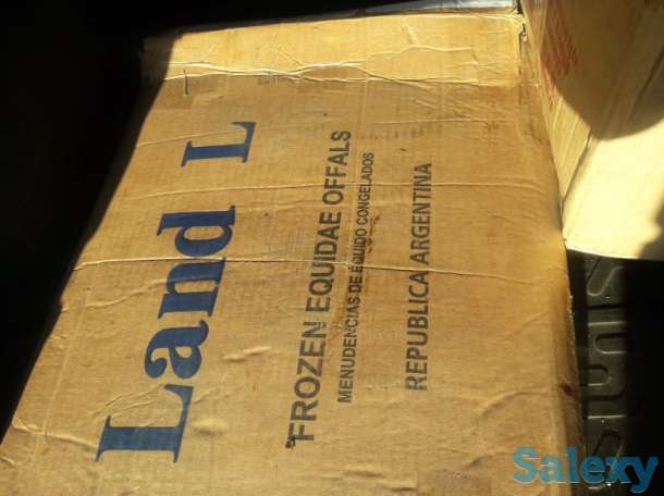 Черева конская для Казы, фотография 1