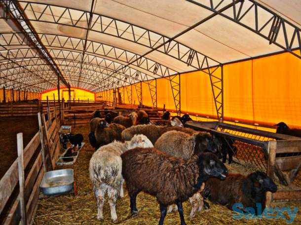 Теплицы на любой вкус, фотография 10