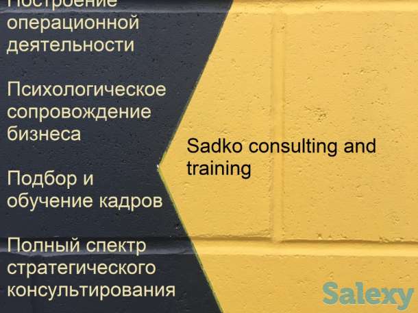 Управленческий консалтинг. Психология бизнеса., фотография 1