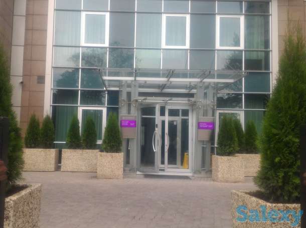 Вазоны (вазы уличные для цветов), фотография 9