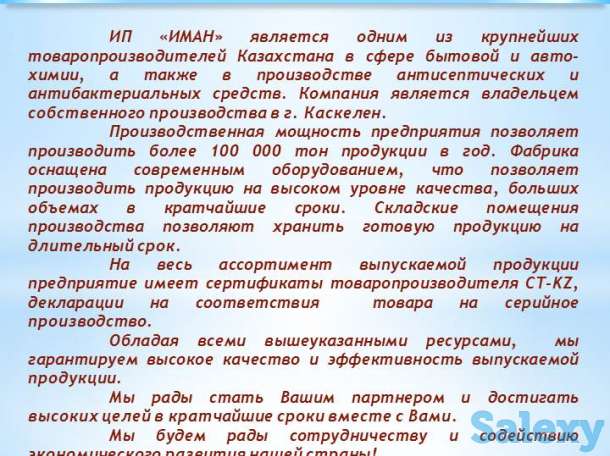 Антисептик, бытовая, авто химия, фотография 1