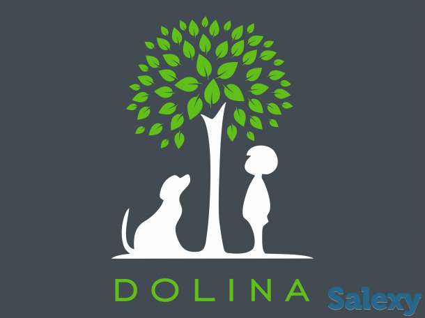 Компания DOLINA ищет партнеров  на территории Казахстана, фотография 1