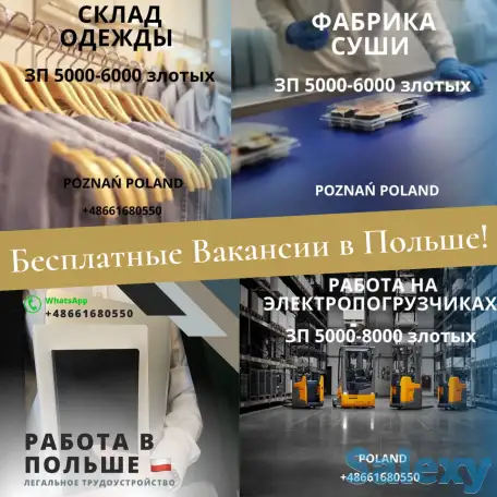 Бесплатные Вакансии в Польше!, фотография 1