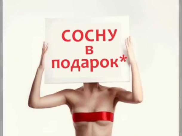 Ель в подарок.при ремонте квартир, фотография 1