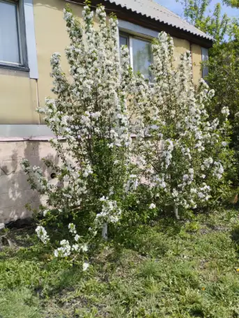 Продам дом, Шартандинская 1, фотография 2