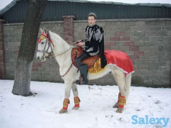 сундет белый конь, фотография 3