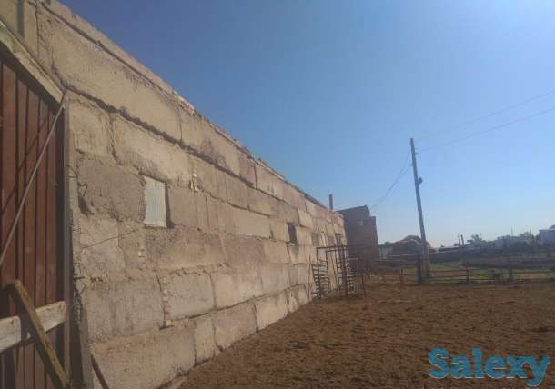 Крестьянское хозяйство, Карагандинская область, Осакаровский район, сАманконыр (с Дальнее), фотография 9