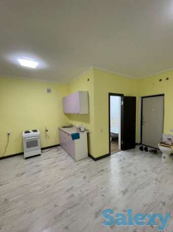 Продам 1 комнатную квартиру в жк Лесная Поляна (пос. Косши), фотография 3