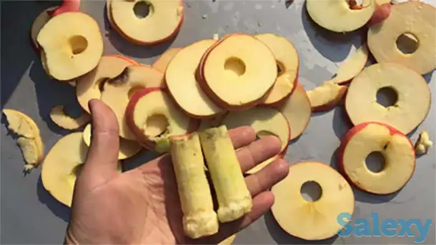 Машина для удаления сердцевины яблок, нарезка дольками и слайсами Vega Apl cor 400800 A, фотография 3