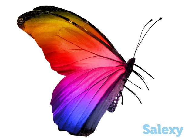 Натяжные потолки, фотография 3