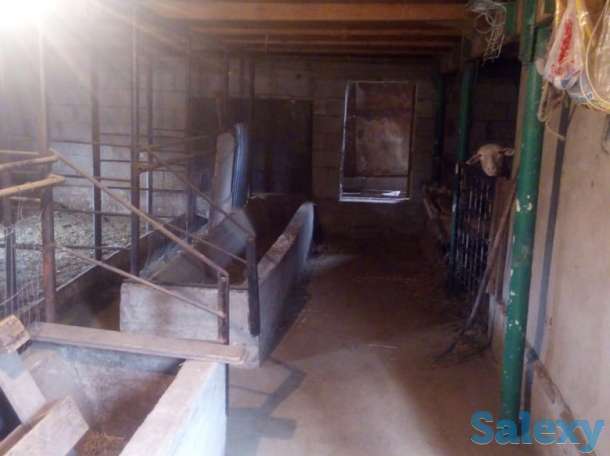 Продам, Толе би ауылы (Коктобе 3), фотография 5