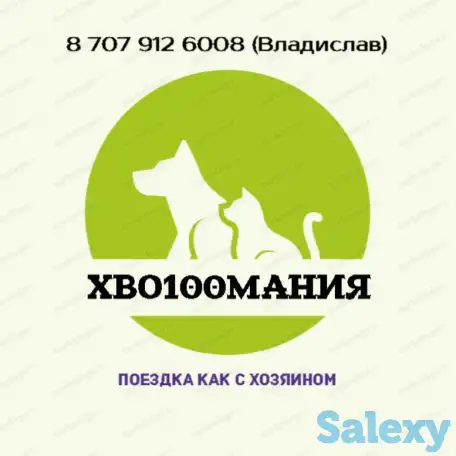 Услуги зоотакси и догмобиля, фотография 1