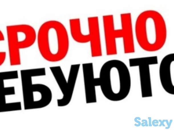 Требуются стажеры, бухгалтер, водитель на газель, фотография 1