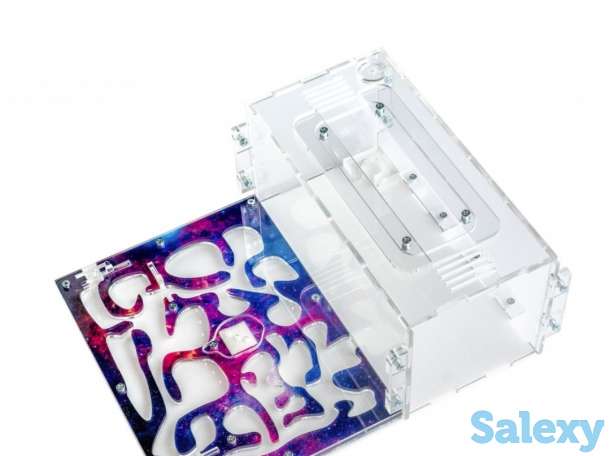 Муравьиная ферма, фотография 2