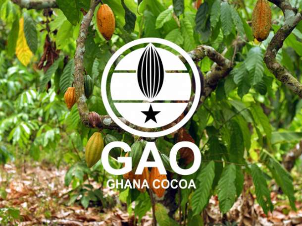 Разработка логотипа бренда, фотография 5