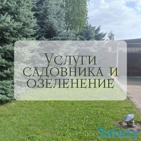 Услуги садовника и озеленение, фотография 2