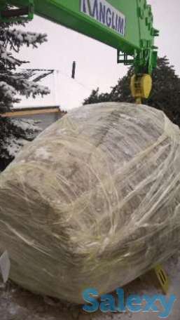 пересадка деревьев любой сложности, фотография 4