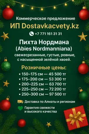 Пихта Нордмана оптом и розницу новогодние, фотография 1