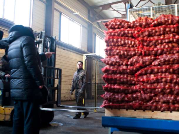 перевозки доставка , фотография 2