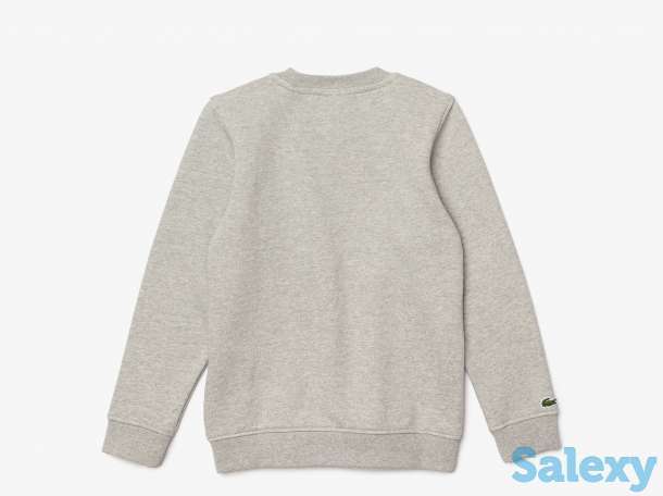 Хлопковая толстовка lacoste, фотография 2