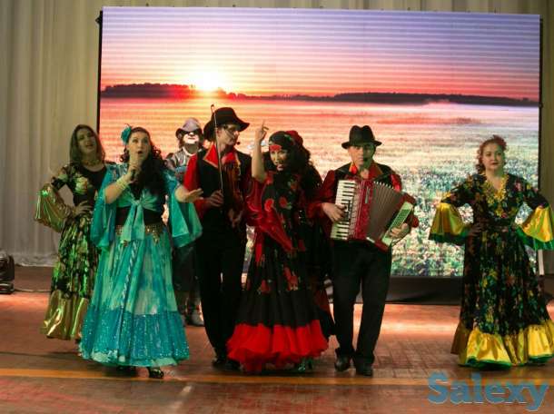 Аккордеонист/Баянист/Музыкант/Ведущий/Артисты/Цыгане, фотография 3