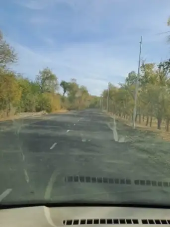 Бизнес партнера по разведению КРС ,МРС, фотография 2