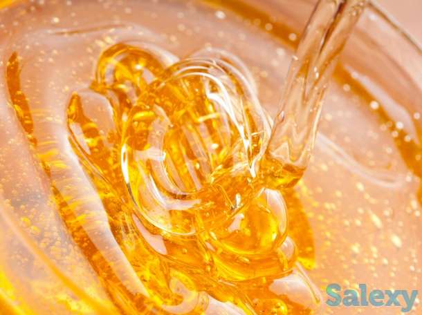 продам мед, фотография 1