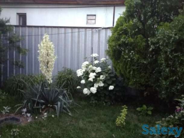 Продам дом, фотография 7