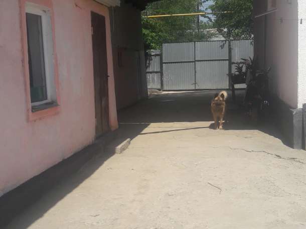 продам полдома срочно торг, микрорайон Калкаман 2, фотография 5