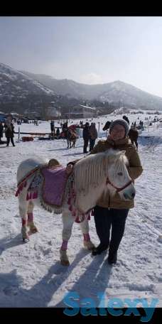 катание на санях, фотография 6