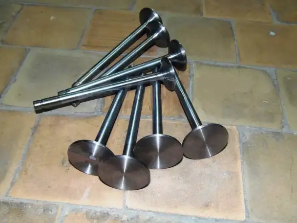 Клапан выпускной и впускной на 4105 двигатель, фотография 1